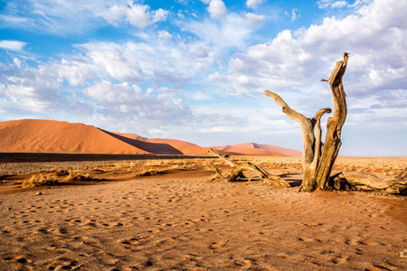 Immobilien Beratung Namibia