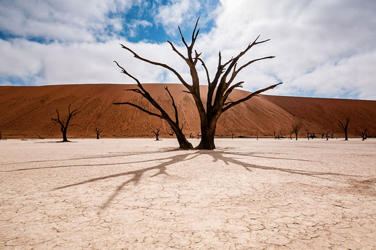 Immobilien Namibia Kauf Beratung